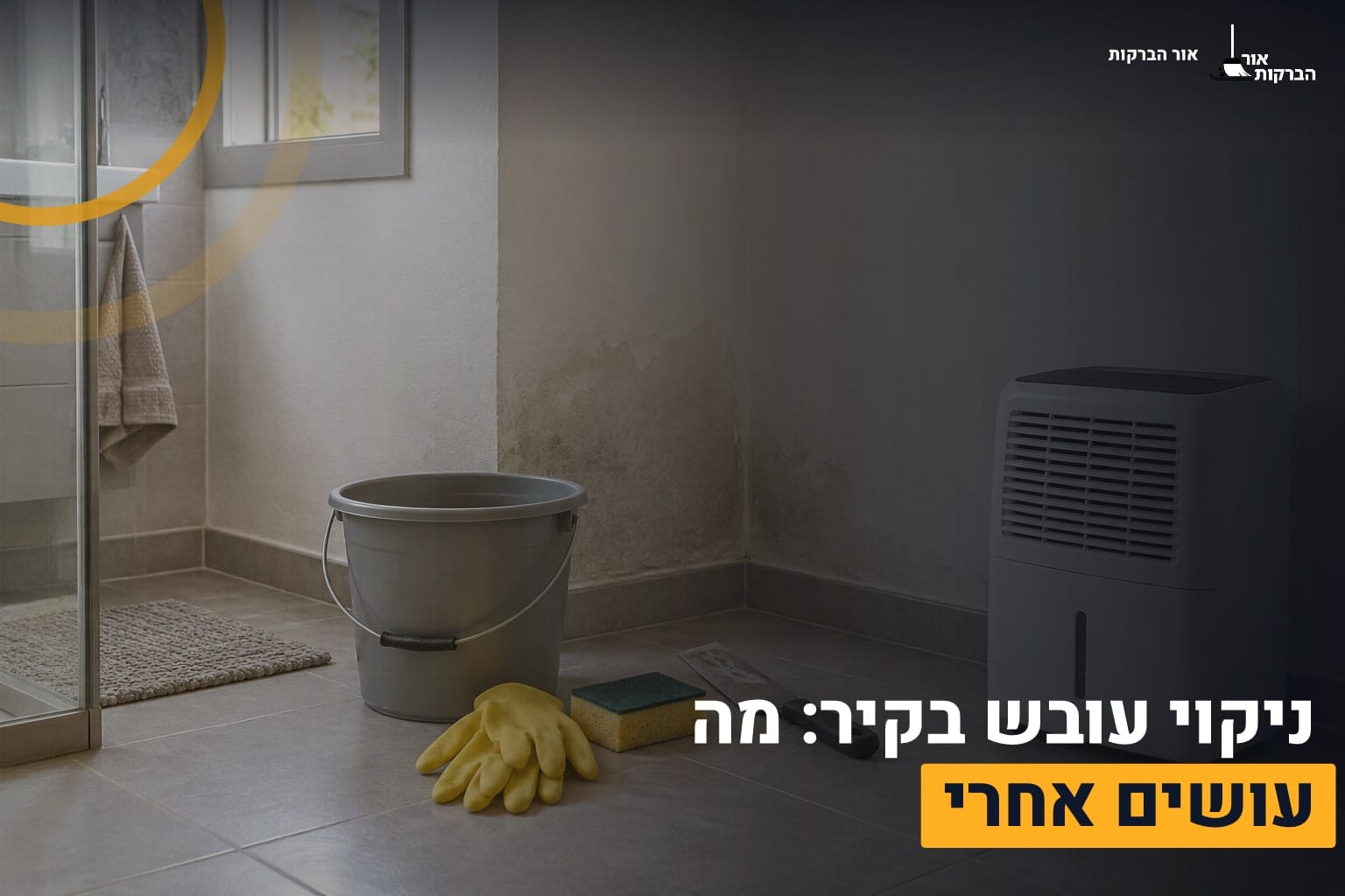ניקוי עובש בקיר