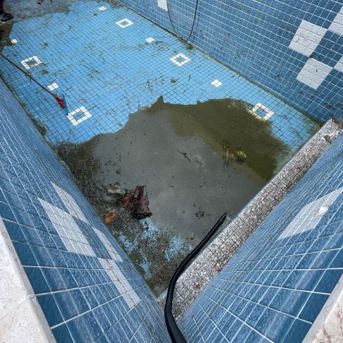 WhatsApp Image 2024-05-13 at 13.08.48 (1)