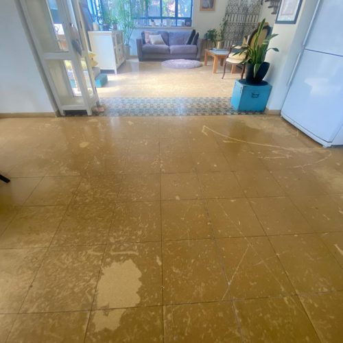 WhatsApp Image 2024-05-13 at 13.16.55