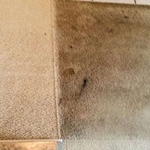 carpet-cleaning-before-after-1-400x240